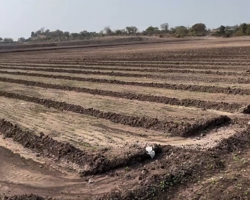 3 Acre Road Touch Land for Sale Near Rajkot | Vadali Village